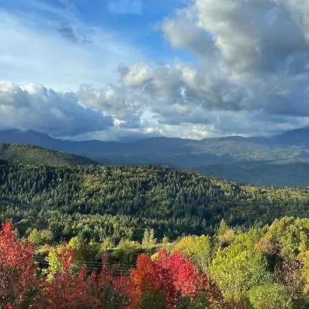 Luxury * Τζαχορίνα